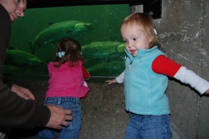 Hadley, the salmon, and Lydia