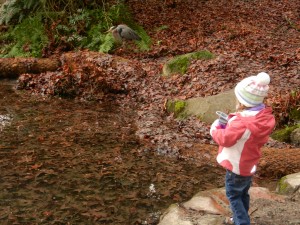 Lydia (and new waterbottle) checking out the Heron